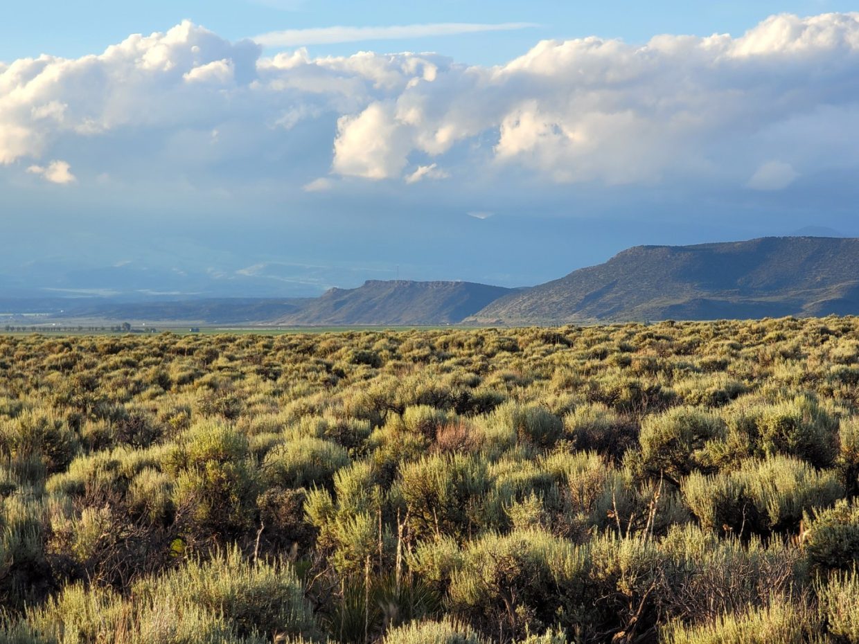 10 Acre property in Costilla County, CO.