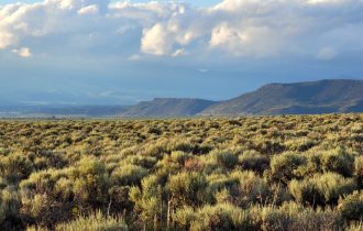 10 Acre property in Costilla County, CO.